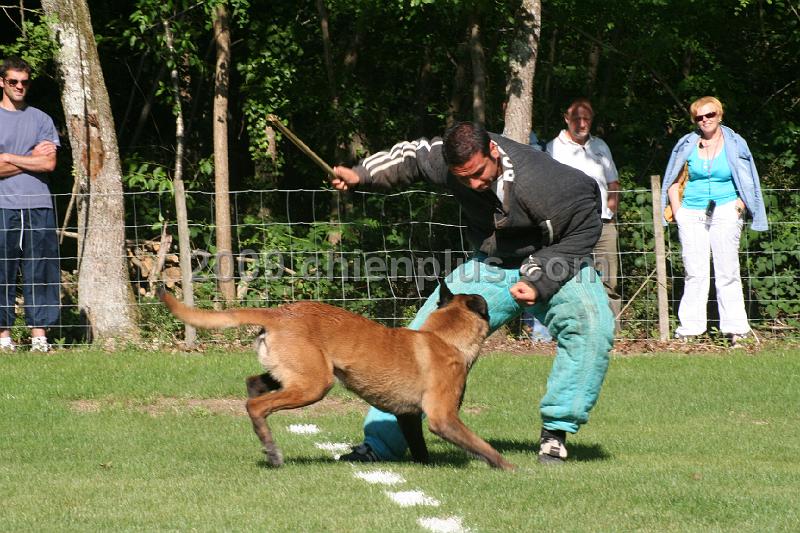 Twisty des Loups Mutins (28).jpg